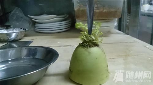 蓮花002.jpg 蓮花002.jpg