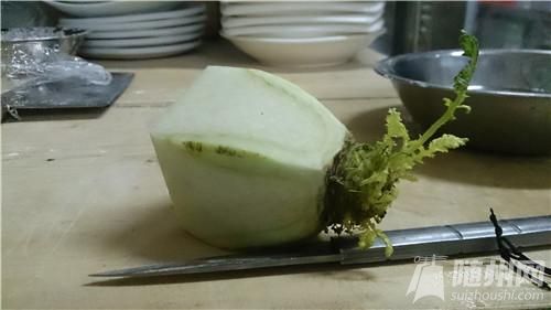 蓮花006.jpg 蓮花006.jpg