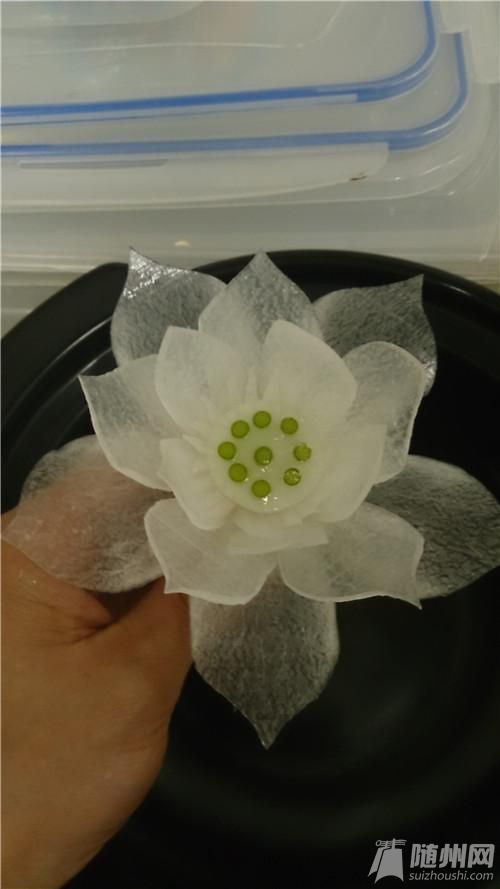 蓮花023.jpg 蓮花023.jpg