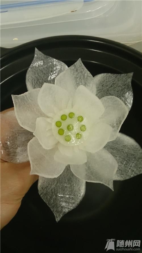 蓮花024.jpg 蓮花024.jpg