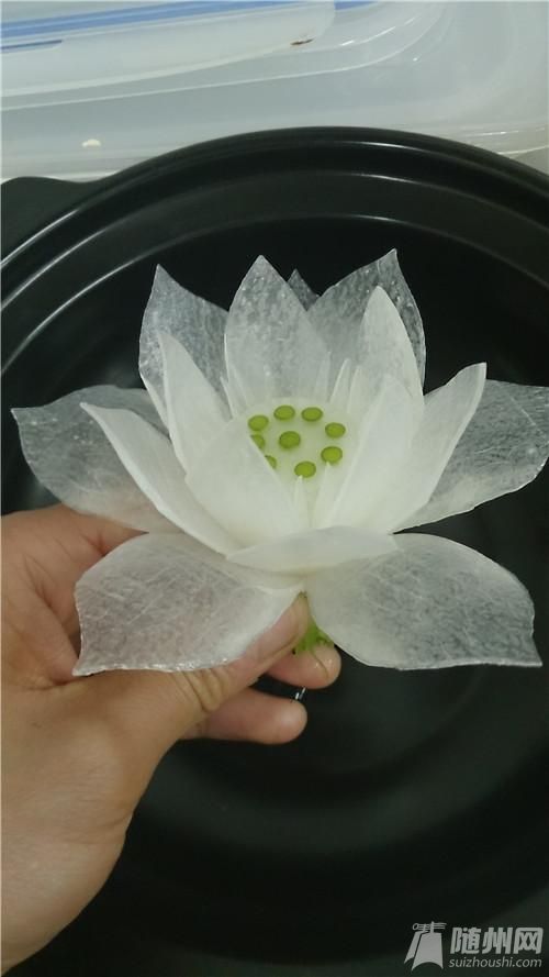 蓮花025.jpg 蓮花025.jpg