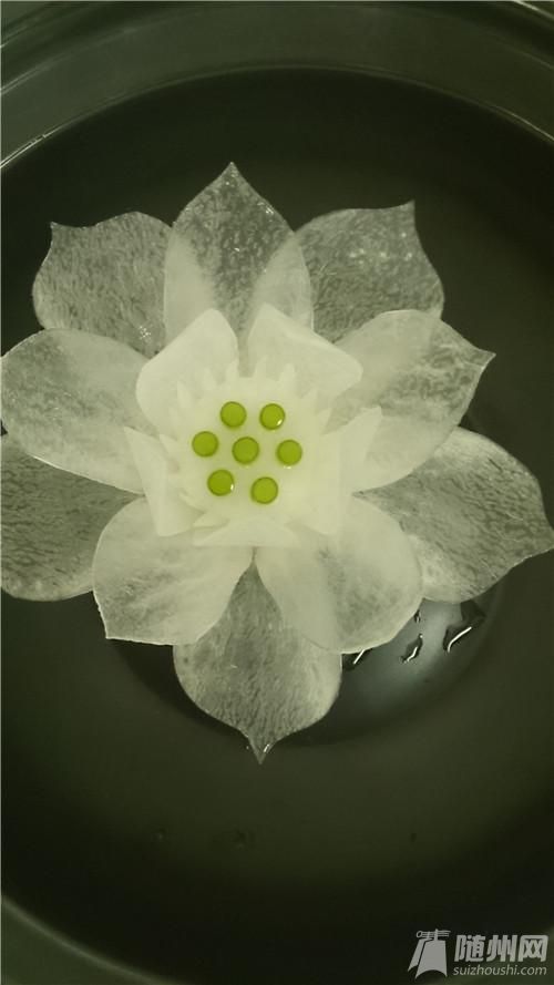 蓮花026.jpg 蓮花026.jpg