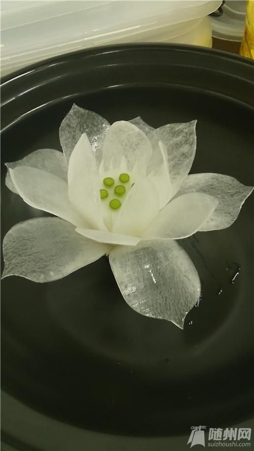 蓮花028.jpg 蓮花028.jpg