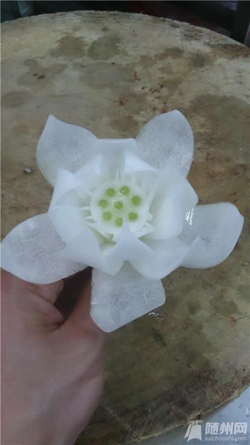 蓮花031.jpg 蓮花031.jpg