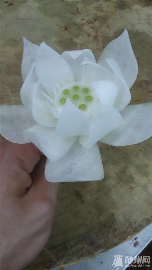 蓮花032.jpg 蓮花032.jpg
